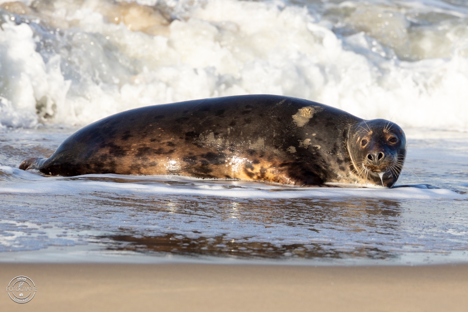 08 januari 2023 150824 1R2A2848